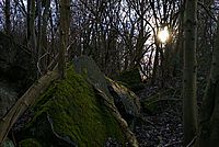 Bernhard Saalfeld - DSC05282 -1.jpg
